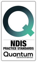 NDIS independent Auditor